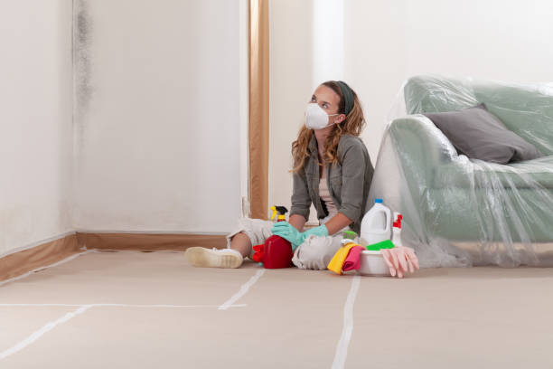 Reliable Mold Remediation contractor in Lakehurst, NJ by Mold Remediation HQ